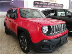 جيب رينيجيد